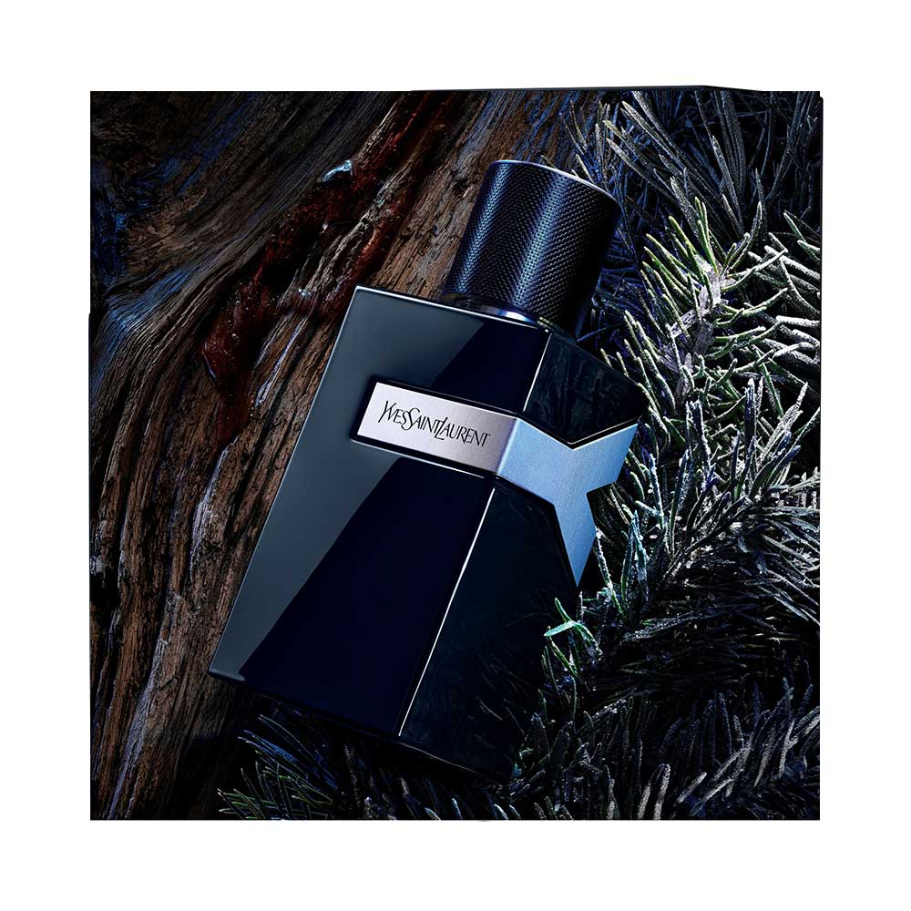 Y Le Parfum Reno